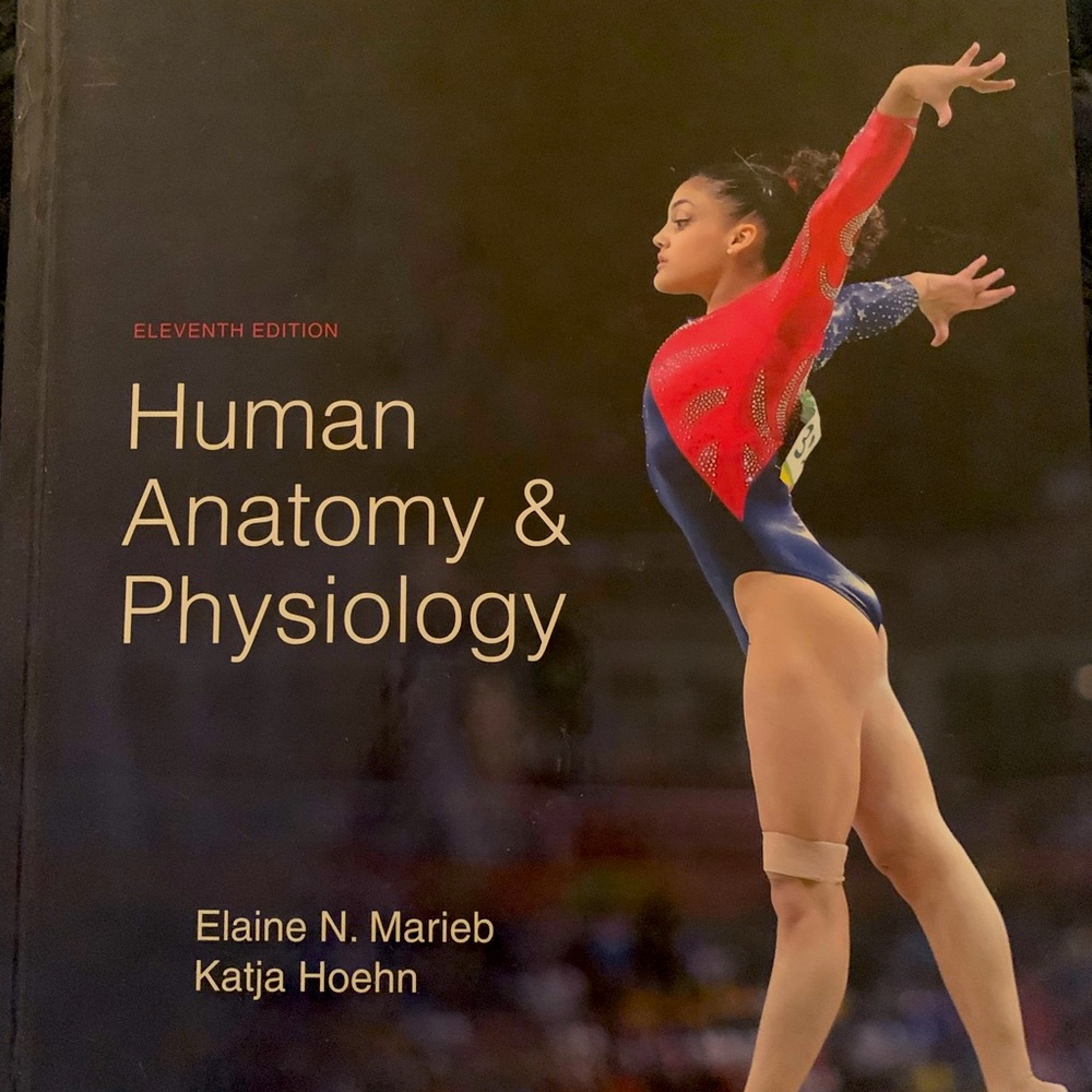 11th edition Human Anatomy & Physiology Elaine N. Marieb, Katharine Hoehn